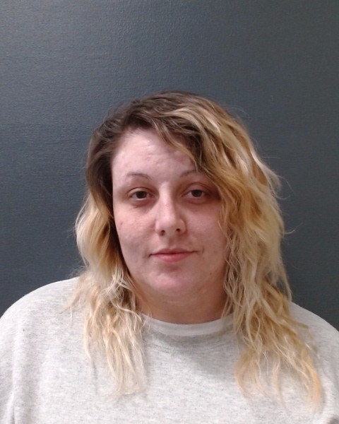 SHOOK, REGINA FAITH booking photo