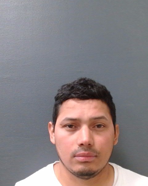 AVILA-NAVA, EDINSO JOSE booking photo