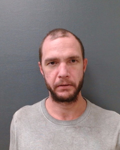 SCHRECK, GOLDEN TIMOTHY MICHAEL booking photo