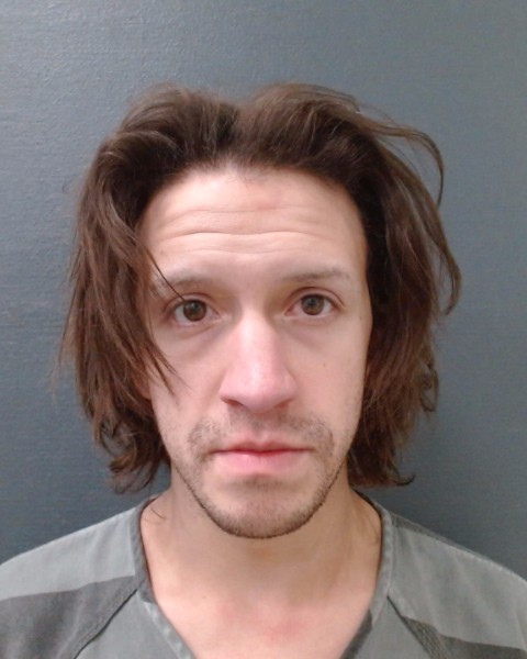 WEAVER, RYAN MICHAEL booking photo