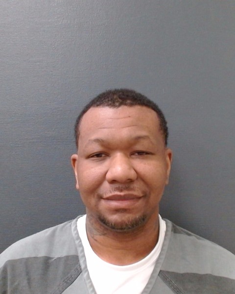 TOWNER, GEORGE WASHINGTON booking photo