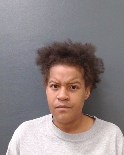 HENDRICKS, LAPORSHA ANN booking photo