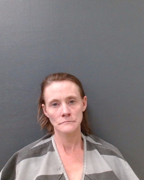 MITCHELL, CHELSEA LYNNE booking photo