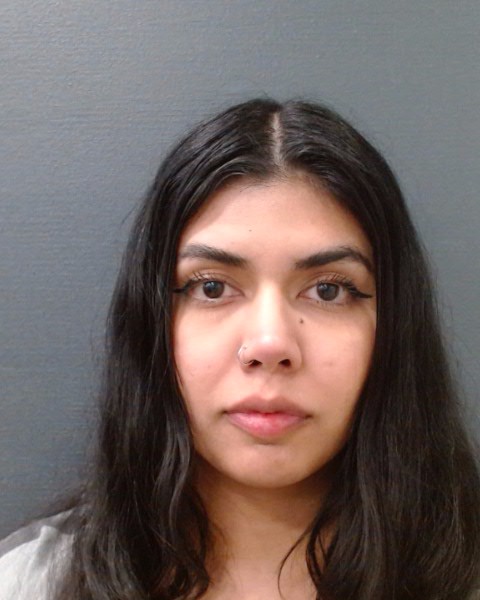 PEREZ, ROMINA booking photo