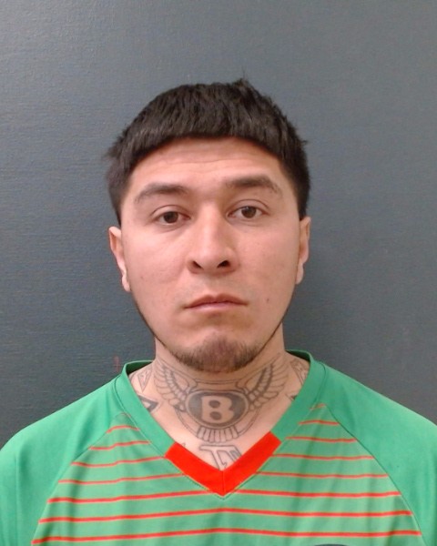 BORRUEL, RAFAEL booking photo