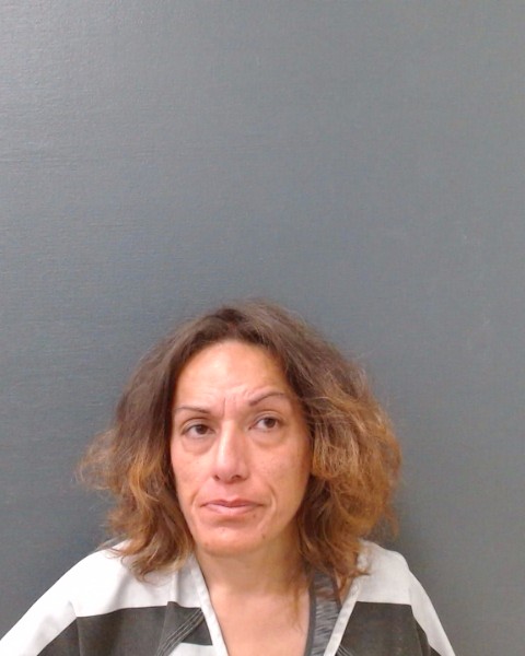 JESSOP, DEBBIE LEI booking photo