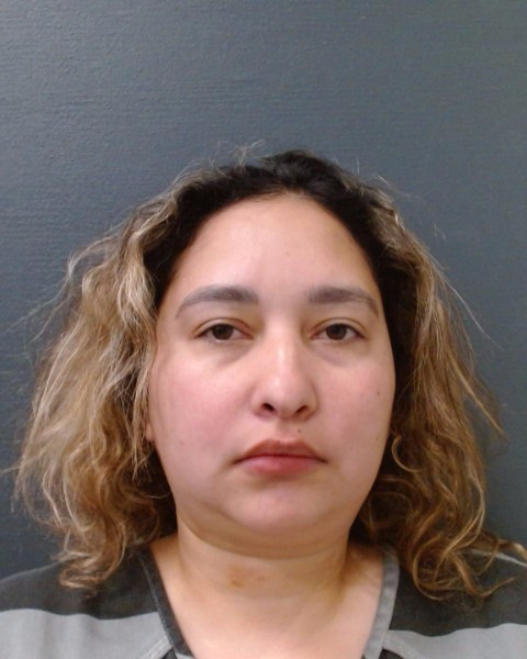 RODRIGUEZ, ELIZABETH MARIE booking photo