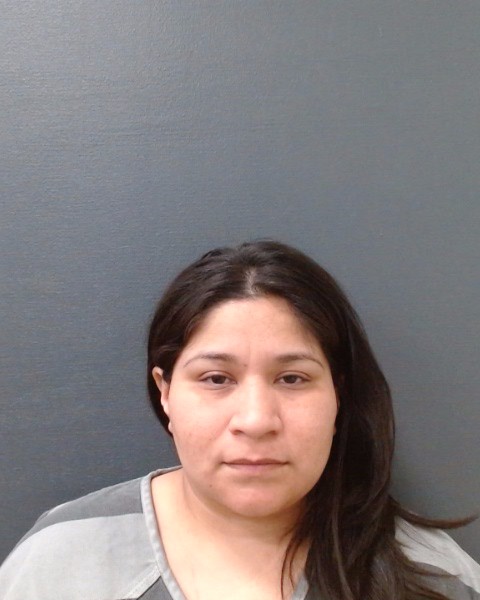 GARCIA, ANITA booking photo