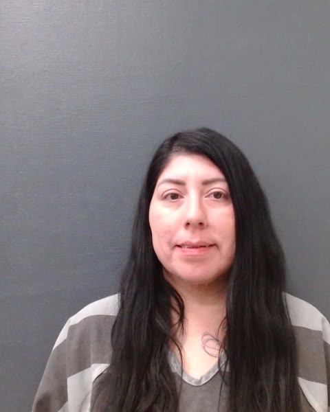 HERNANDEZ, ANN MARIE booking photo