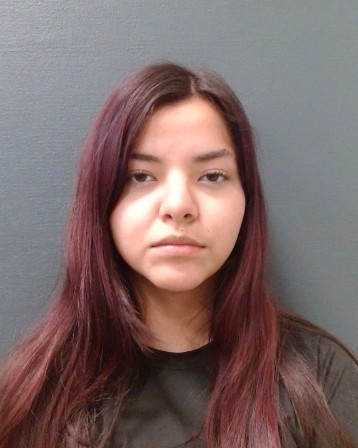 Flores, Fernanda Pamela booking photo