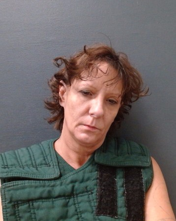 COLLINS, SHONNYA LYNN booking photo