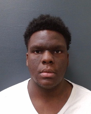 ROWSER, JACOB LEVORN booking photo