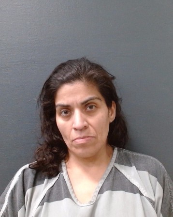 CHAVEZ, ERICA JARAMILLO booking photo
