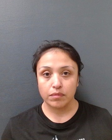 CAMPOS, DANIELA MARTINEZ booking photo