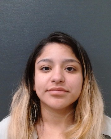 VILLARREAL, MARY ANN NICOLE booking photo