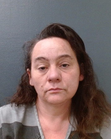 JAMES, MICHELE RENEE booking photo