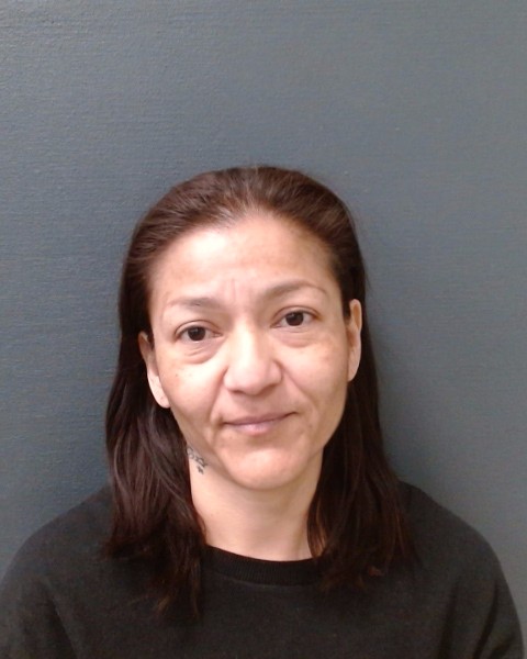 VILLAFUERTE, DALICIA booking photo