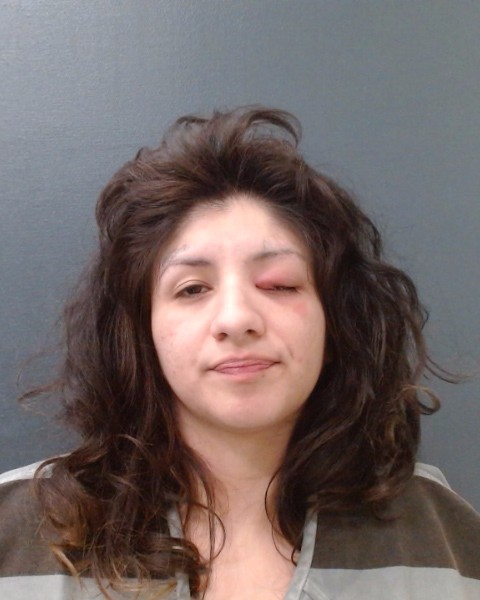 VASQUEZ, MIZRYA ALICIA booking photo