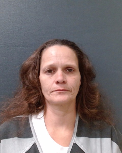 RODRIGUEZ, ROBBIN LYNN booking photo