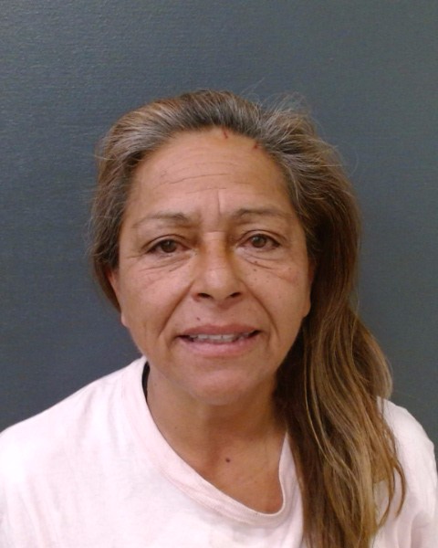 CORTEZ, NANCY ANN booking photo