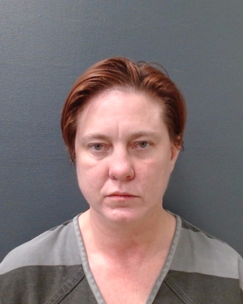 BLEAU, GINA LEE booking photo