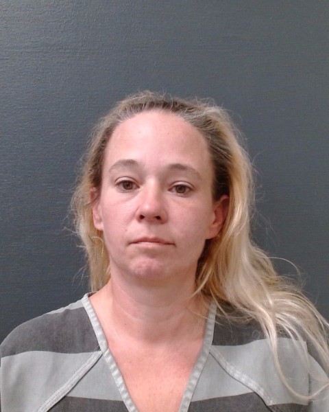 WILSON, RACHEL DIANE-HILL booking photo