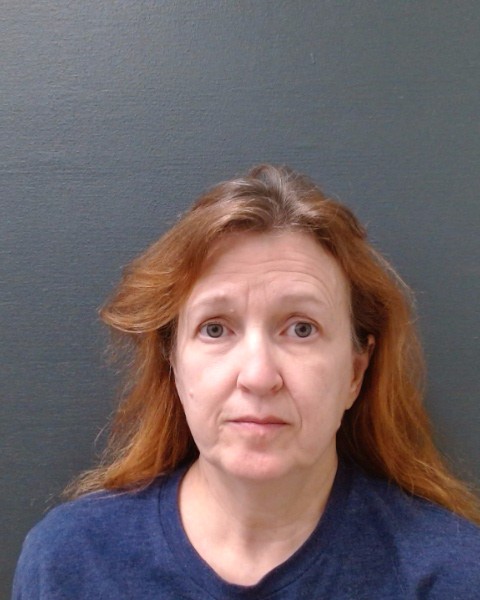 SAPER, LAURIE GRACE booking photo