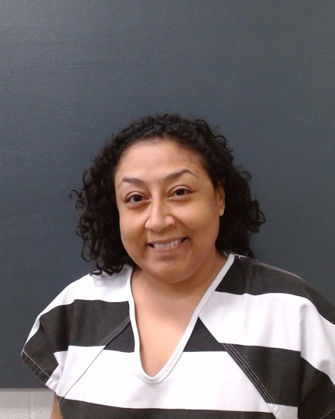 MAGALLAN, ERIKA LYNN booking photo