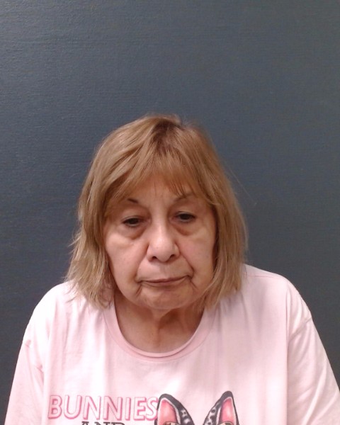 PEREZ, ESTELLA booking photo