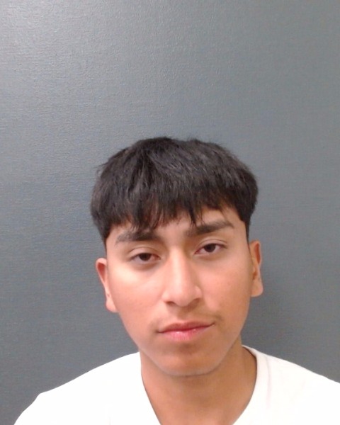 VELEZ, SERGIO ALEXIS booking photo