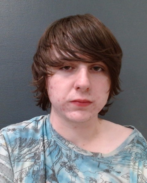 GOULD, MICHAEL FRANCIS booking photo