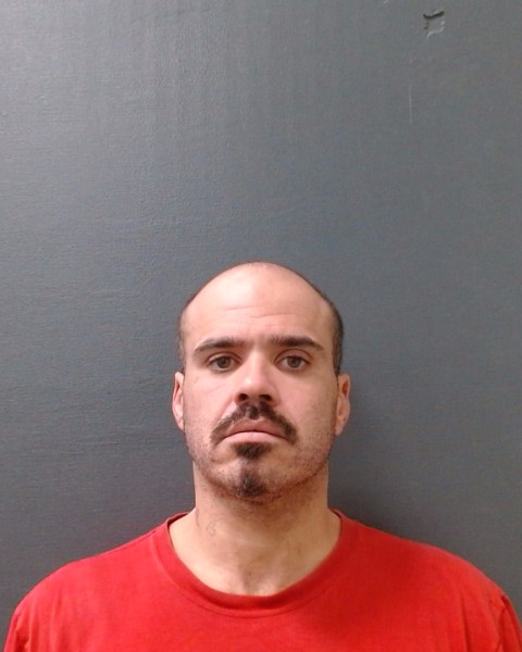 WEBSTER, BRYAN ALAN booking photo