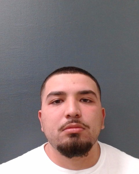 HERNANDEZ, APOLONIO SANTINO booking photo