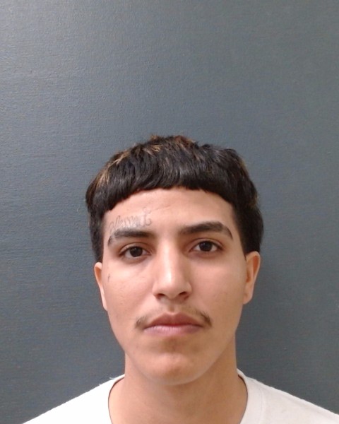 RODRIGUEZ-RIVERA, JOE ADNER booking photo