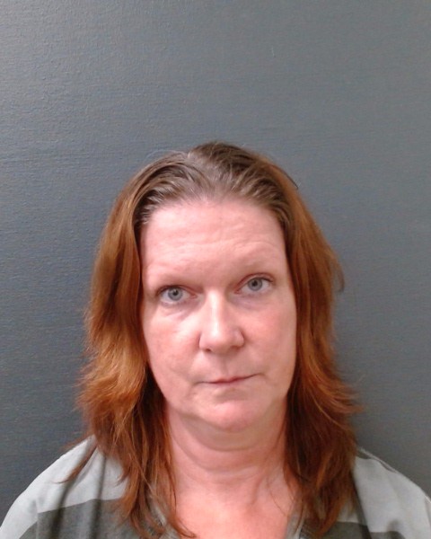 BERTEAU, MICHELLE RENEE booking photo