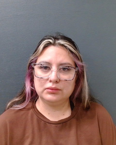 PEREZ, BRIANA JOCELYN booking photo