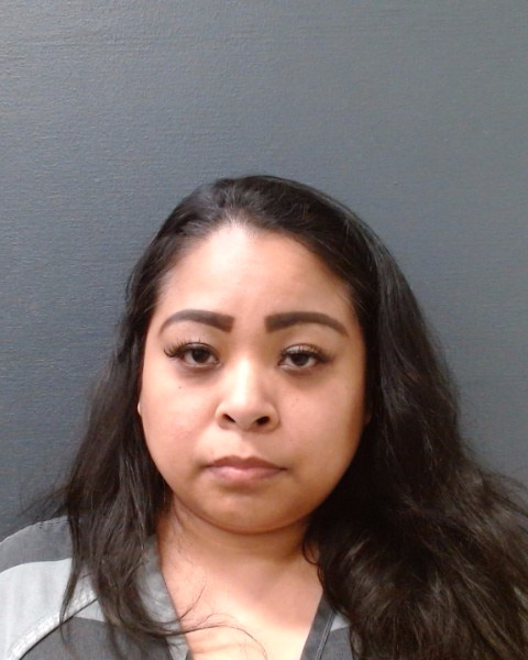 NATAL, SANDRA ANN booking photo