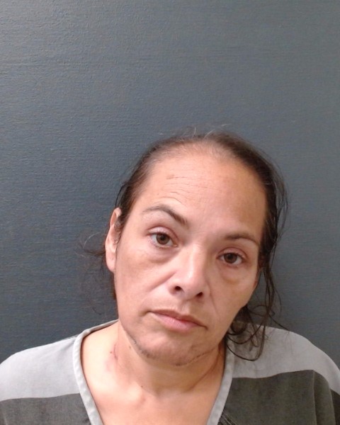 RIOS, PRISCILLA ANN booking photo