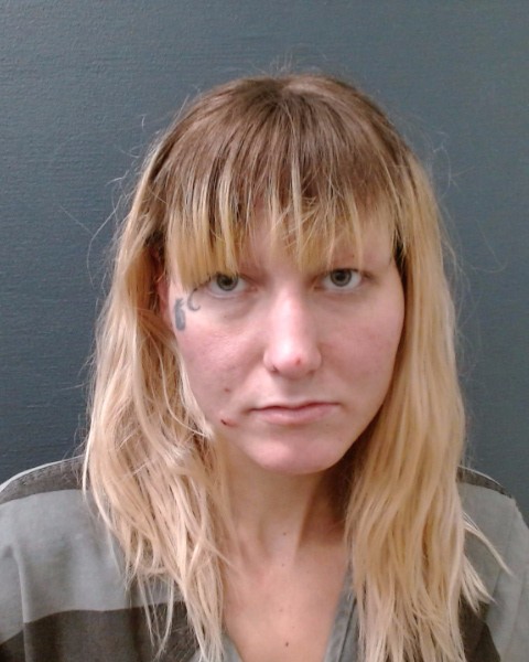 LAROSA, TAYLOR RENEE booking photo