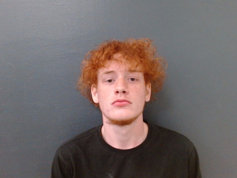 MIKESH, BRIAN MARCELL booking photo