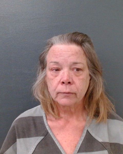 WILLIAMS, TRACY ANN booking photo