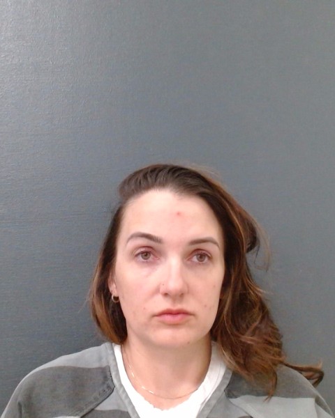 KING, DANA MICHELLE booking photo