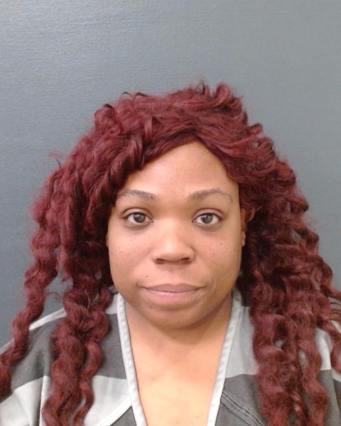 BEY, CHELSEA RENEE booking photo