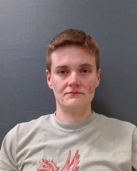 DUMAS, CHRISTINE LYNN booking photo