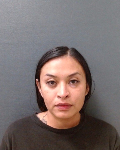 GONZALEZ, NICHOLE RAE booking photo