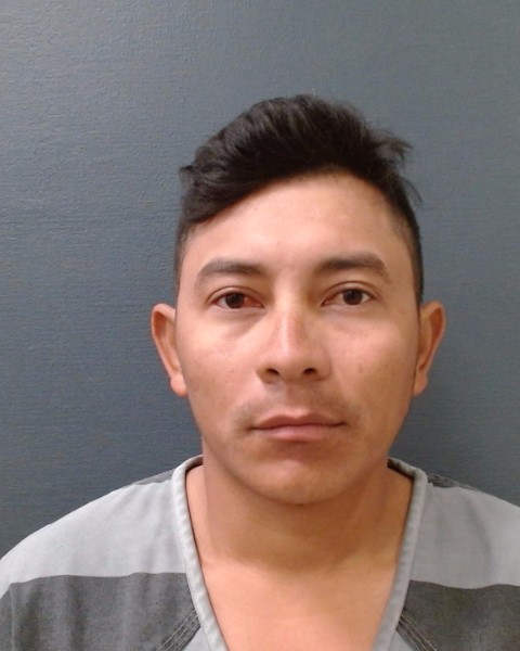 MASIS-LOZA, IMMER booking photo