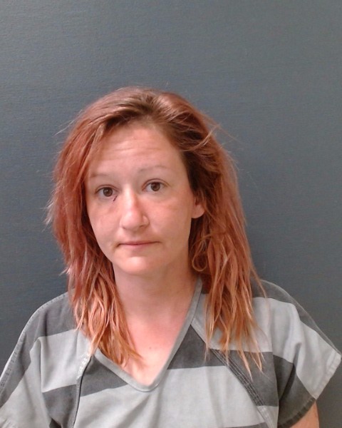 THOMPSON, HANNAH KELLEY booking photo