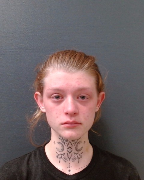 MCMULLIN, HOLLY RHYS booking photo