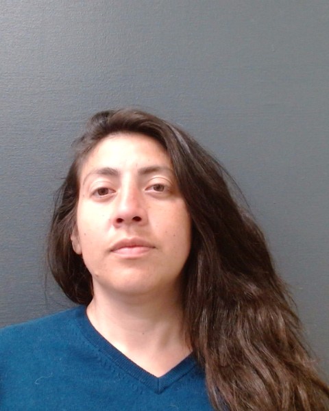 QUINTANILLA, JESSICA LIZZET booking photo