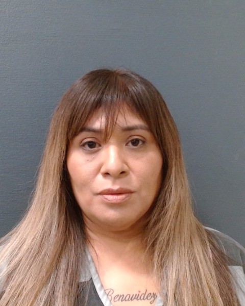 AVILA, MIRIAM RUTH booking photo